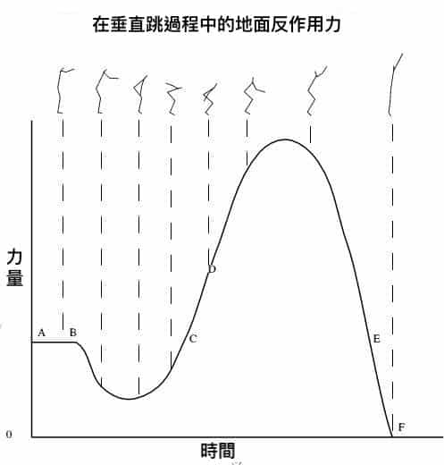 在垂直跳過程中的地面反作用力