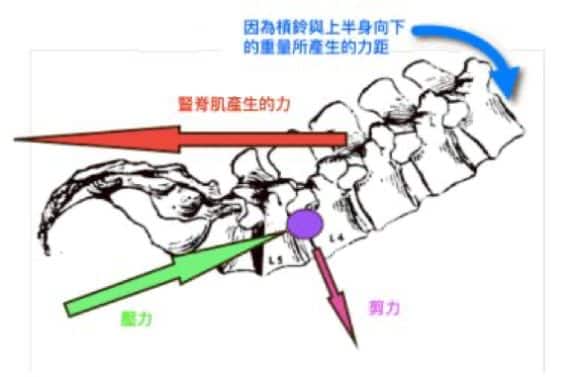 硬舉生物力學