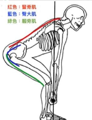 硬舉生物力學