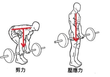 硬舉生物力學