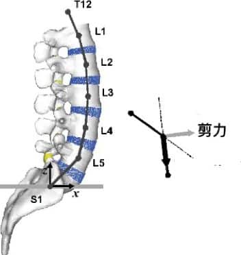 硬舉生物力學