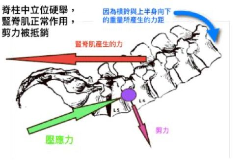 硬舉生物力學