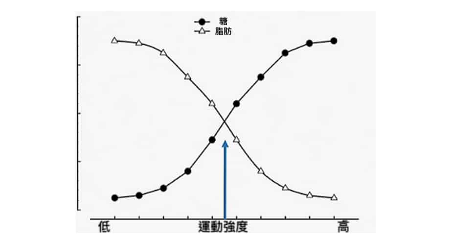 跑步減肥