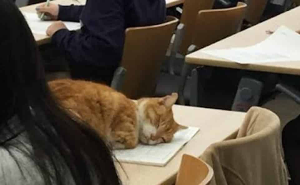 動人到府健身